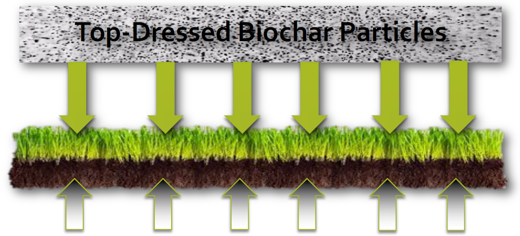 biochar1
