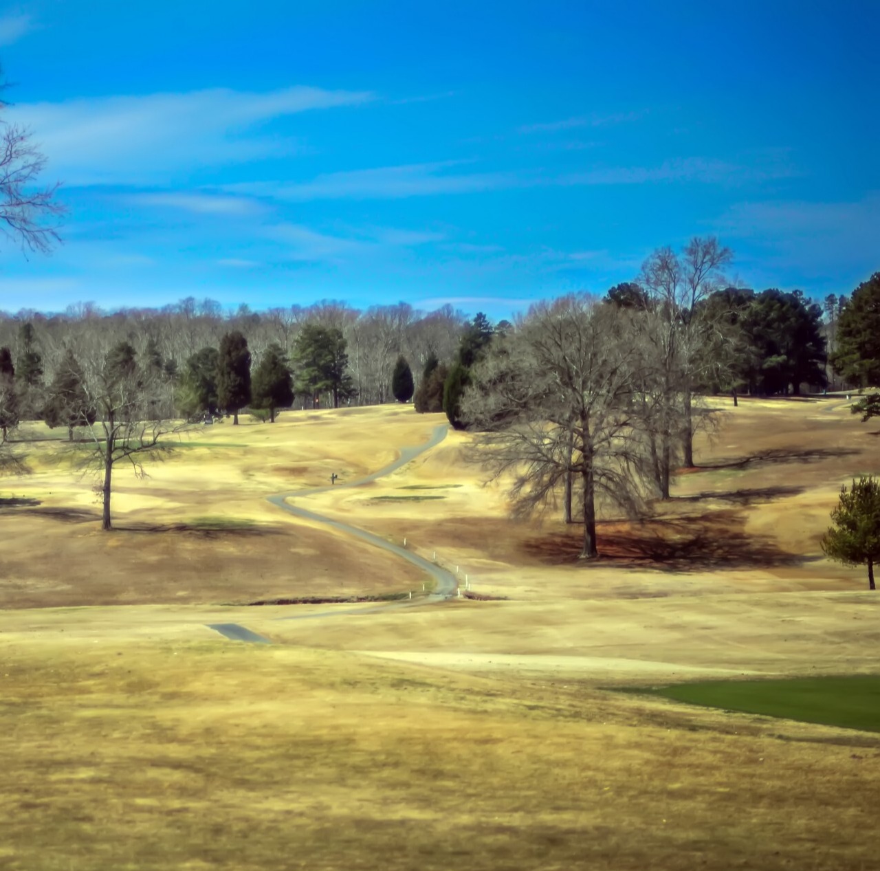 dry-grass-on-golf-course