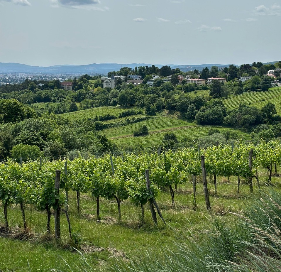 pexels-nadine-k-1867759008-33799445-1